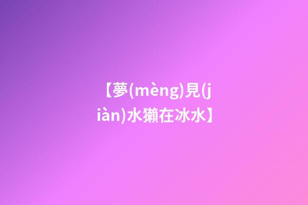 【夢(mèng)見(jiàn)水獺在冰水】