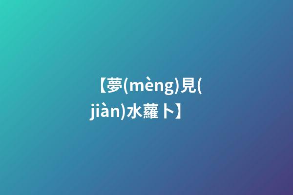 【夢(mèng)見(jiàn)水蘿卜】