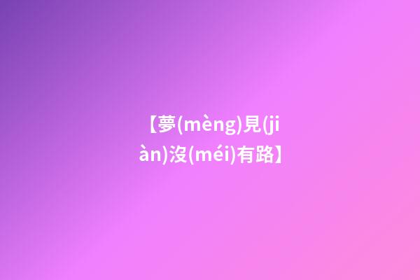 【夢(mèng)見(jiàn)沒(méi)有路】