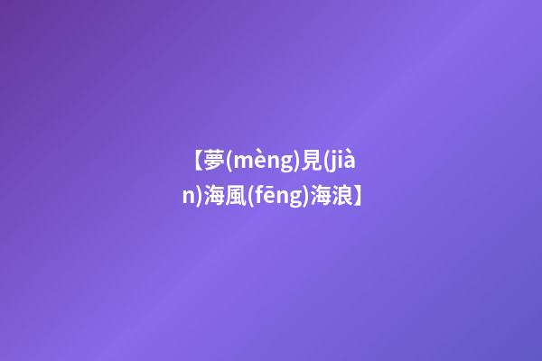 【夢(mèng)見(jiàn)海風(fēng)海浪】
