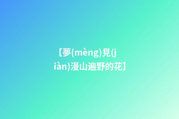 【夢(mèng)見(jiàn)漫山遍野的花】