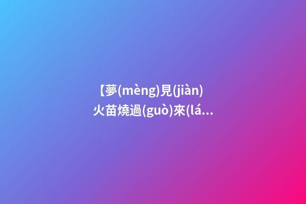 【夢(mèng)見(jiàn)火苗燒過(guò)來(lái)】