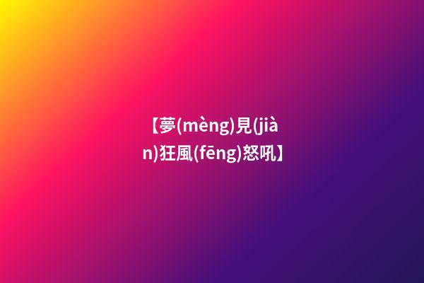 【夢(mèng)見(jiàn)狂風(fēng)怒吼】