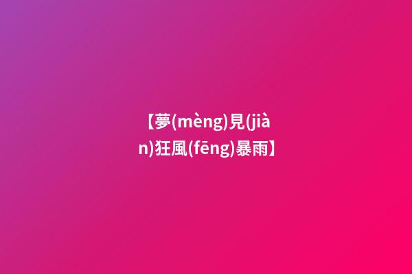 【夢(mèng)見(jiàn)狂風(fēng)暴雨】