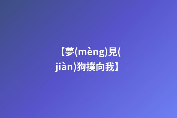 【夢(mèng)見(jiàn)狗撲向我】
