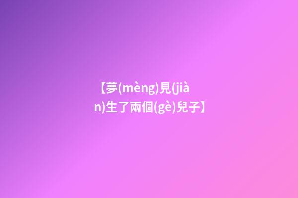 【夢(mèng)見(jiàn)生了兩個(gè)兒子】