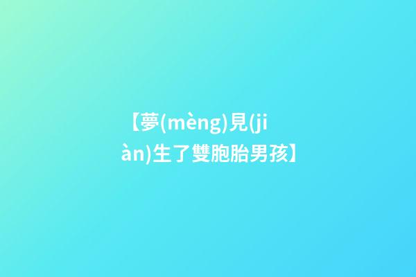 【夢(mèng)見(jiàn)生了雙胞胎男孩】