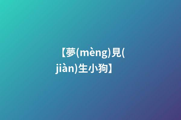 【夢(mèng)見(jiàn)生小狗】