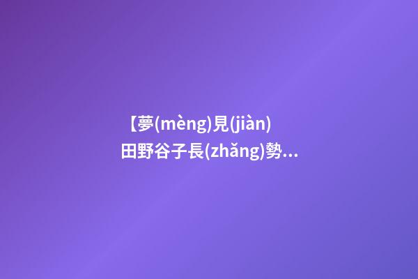 【夢(mèng)見(jiàn)田野谷子長(zhǎng)勢(shì)好】