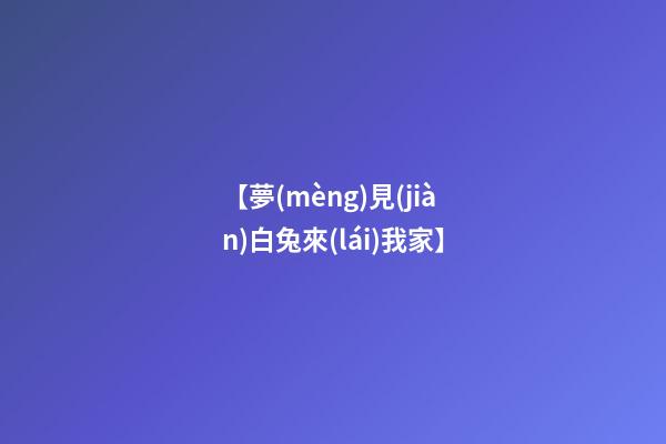 【夢(mèng)見(jiàn)白兔來(lái)我家】