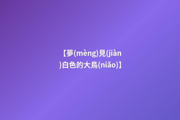 【夢(mèng)見(jiàn)白色的大鳥(niǎo)】