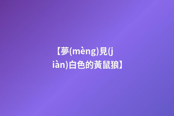 【夢(mèng)見(jiàn)白色的黃鼠狼】