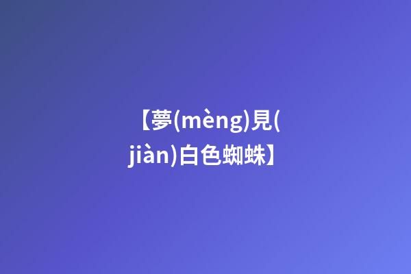 【夢(mèng)見(jiàn)白色蜘蛛】