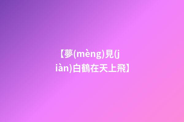 【夢(mèng)見(jiàn)白鶴在天上飛】