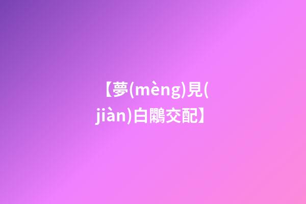 【夢(mèng)見(jiàn)白鷴交配】