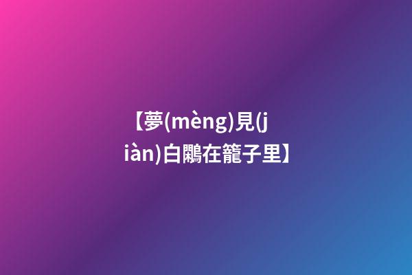 【夢(mèng)見(jiàn)白鷴在籠子里】