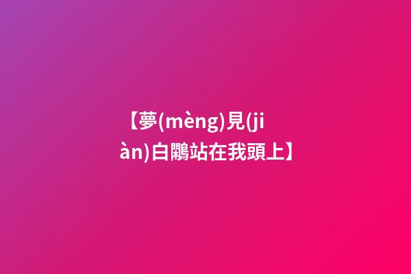 【夢(mèng)見(jiàn)白鷴站在我頭上】