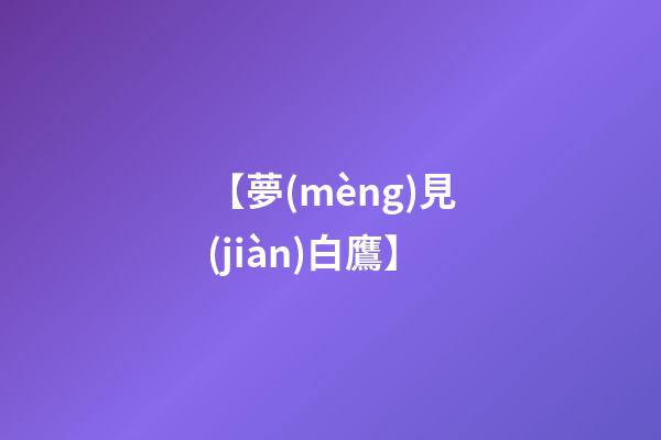 【夢(mèng)見(jiàn)白鷹】