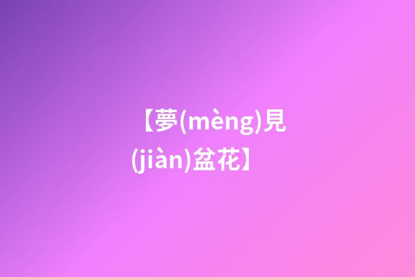【夢(mèng)見(jiàn)盆花】