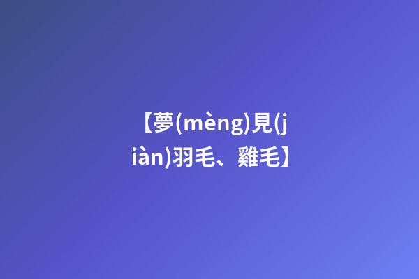 【夢(mèng)見(jiàn)羽毛、雞毛】
