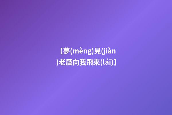 【夢(mèng)見(jiàn)老鷹向我飛來(lái)】