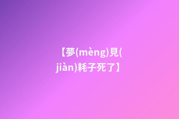 【夢(mèng)見(jiàn)耗子死了】