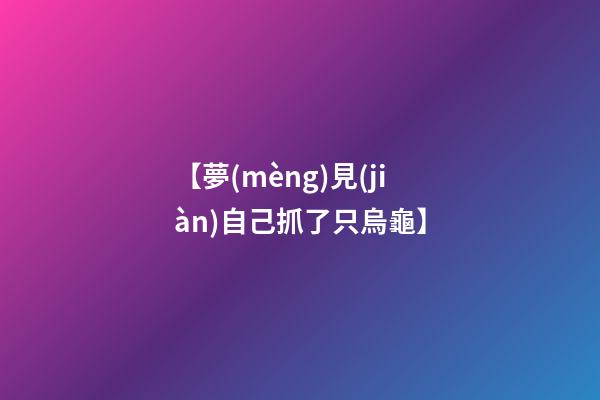 【夢(mèng)見(jiàn)自己抓了只烏龜】