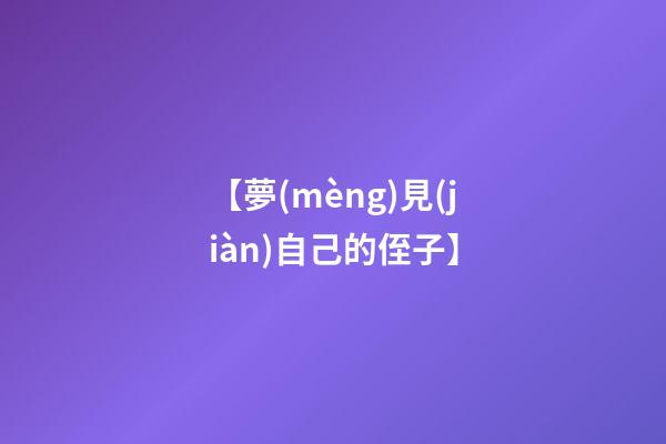 【夢(mèng)見(jiàn)自己的侄子】