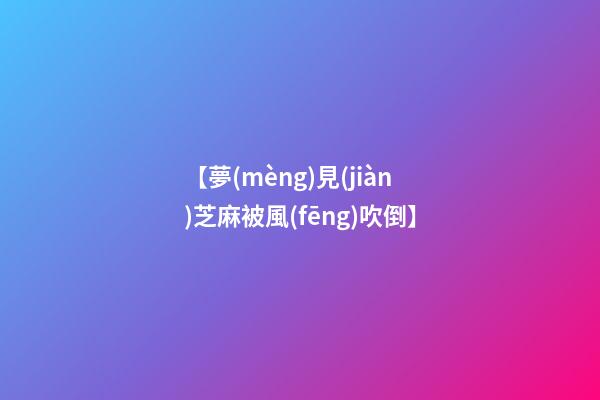【夢(mèng)見(jiàn)芝麻被風(fēng)吹倒】