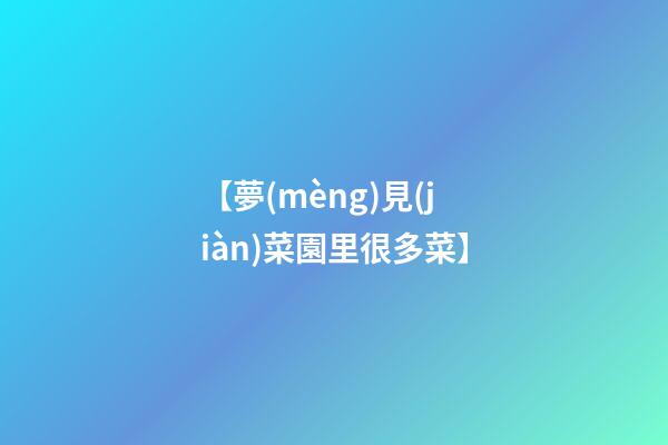 【夢(mèng)見(jiàn)菜園里很多菜】