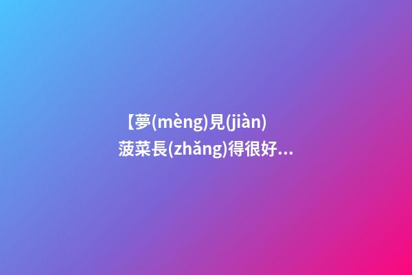 【夢(mèng)見(jiàn)菠菜長(zhǎng)得很好】