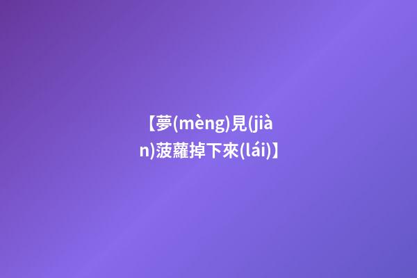 【夢(mèng)見(jiàn)菠蘿掉下來(lái)】