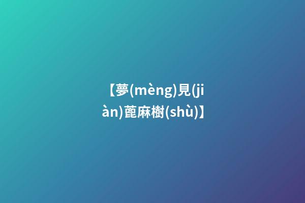 【夢(mèng)見(jiàn)蓖麻樹(shù)】