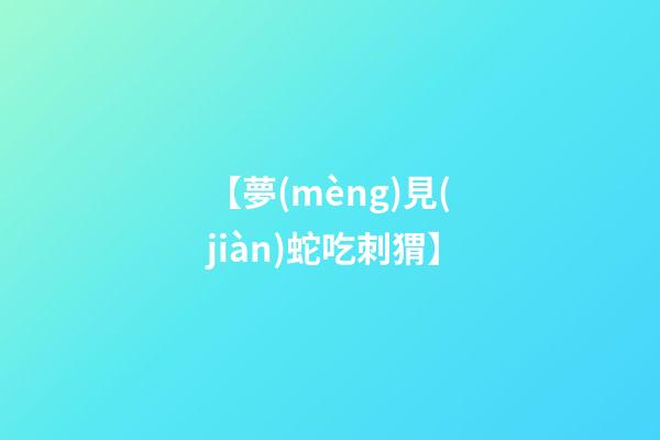 【夢(mèng)見(jiàn)蛇吃刺猬】