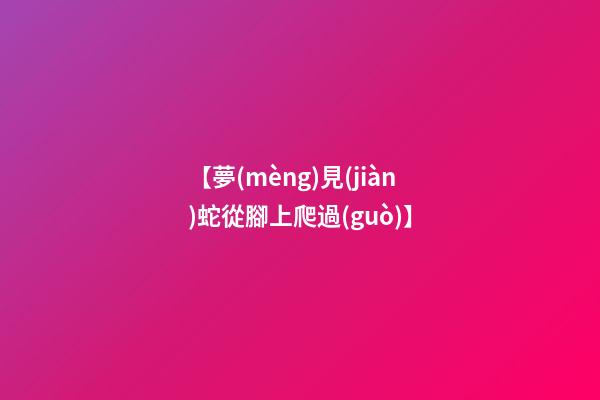 【夢(mèng)見(jiàn)蛇從腳上爬過(guò)】