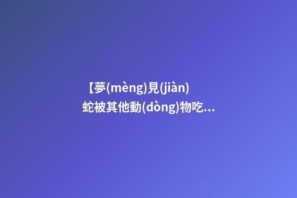 【夢(mèng)見(jiàn)蛇被其他動(dòng)物吃了】