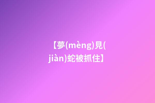 【夢(mèng)見(jiàn)蛇被抓住】
