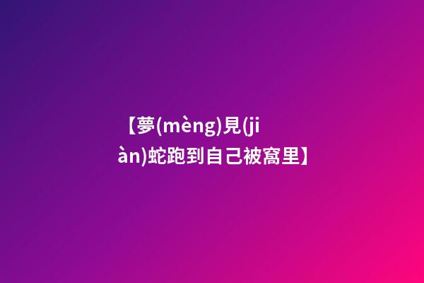 【夢(mèng)見(jiàn)蛇跑到自己被窩里】