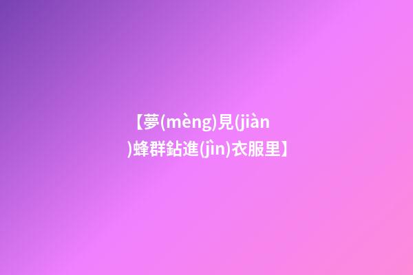 【夢(mèng)見(jiàn)蜂群鉆進(jìn)衣服里】