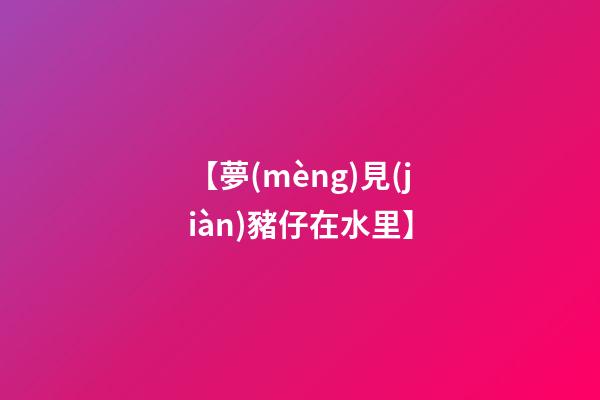 【夢(mèng)見(jiàn)豬仔在水里】