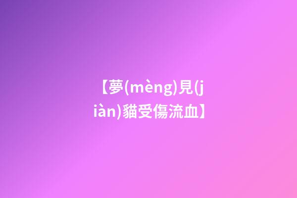 【夢(mèng)見(jiàn)貓受傷流血】