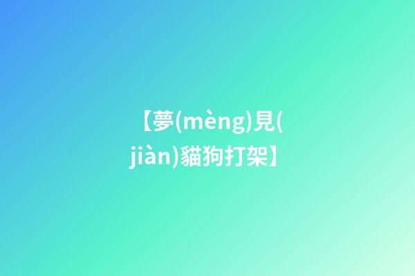 【夢(mèng)見(jiàn)貓狗打架】
