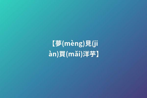 【夢(mèng)見(jiàn)買(mǎi)洋芋】