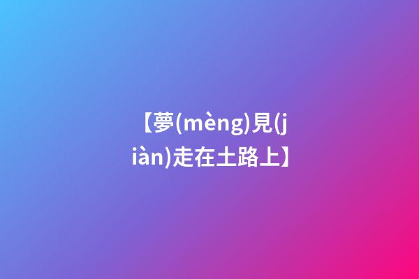 【夢(mèng)見(jiàn)走在土路上】
