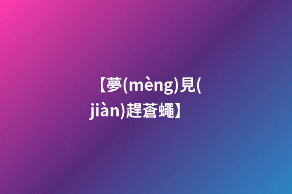 【夢(mèng)見(jiàn)趕蒼蠅】