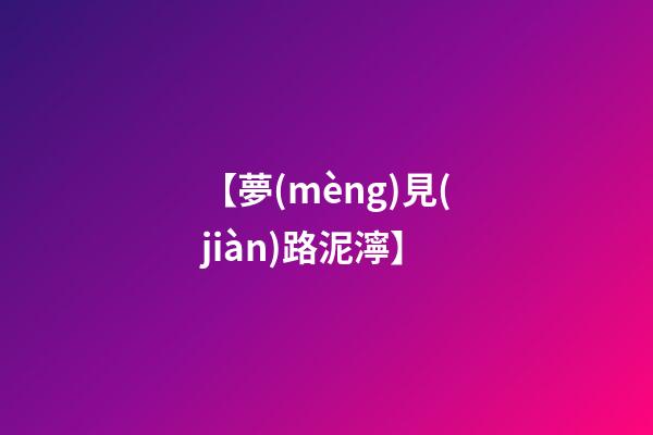 【夢(mèng)見(jiàn)路泥濘】