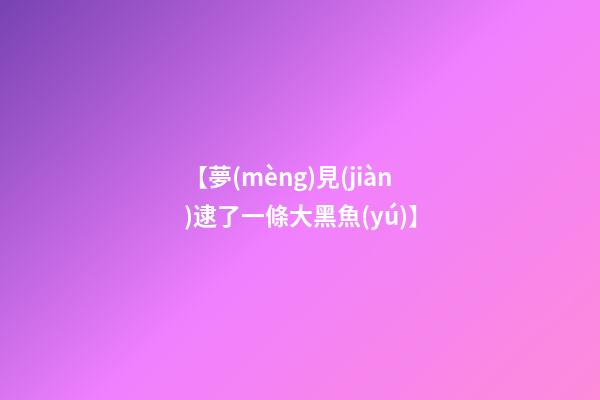 【夢(mèng)見(jiàn)逮了一條大黑魚(yú)】