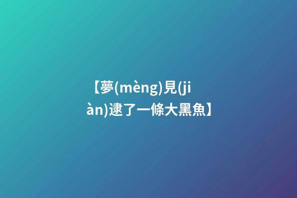 【夢(mèng)見(jiàn)逮了一條大黑魚】