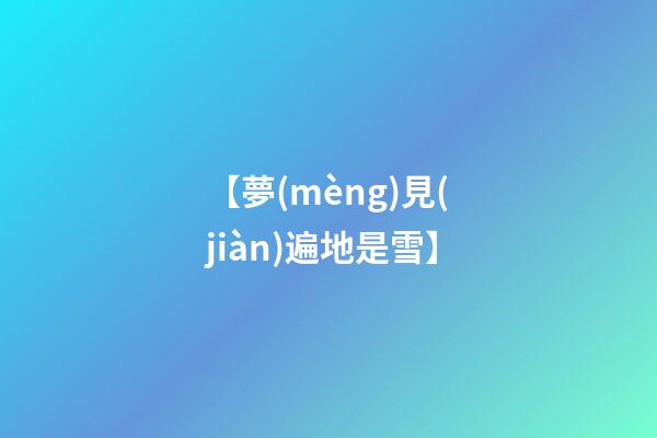 【夢(mèng)見(jiàn)遍地是雪】