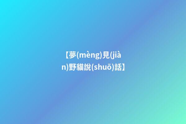 【夢(mèng)見(jiàn)野貓說(shuō)話】